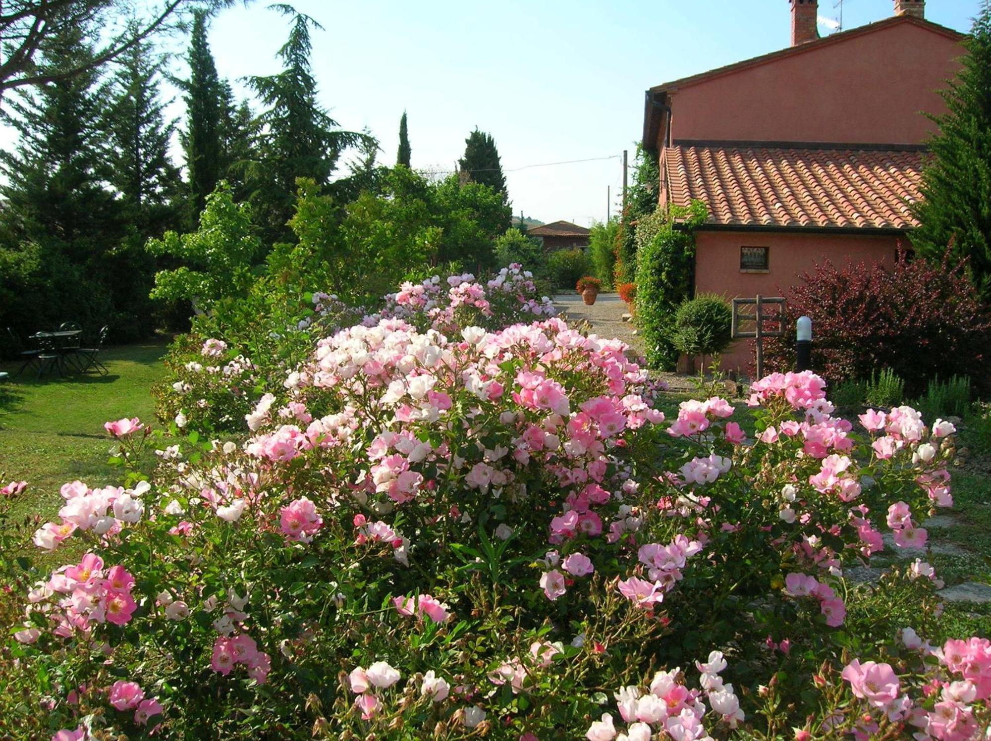 Sant'Alberto Campiglia d'Orcia Экстерьер фото